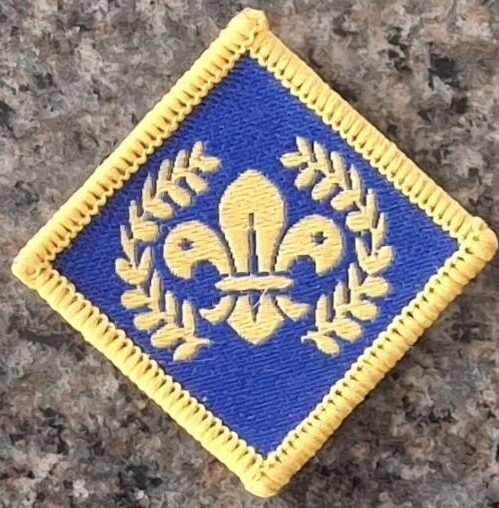 Platinum Chief Scout Award Badge (old logo)