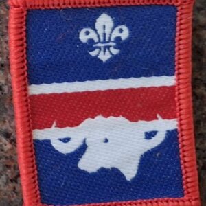 Patrol Badge - Buffalos (old logo)