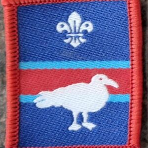 Patrol Badge - Curlews (old logo)