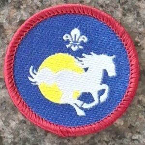 Scouts Equestrian Activity Badge (old logo)