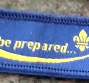 Scouts to Explorers Moving On Award (old logo)