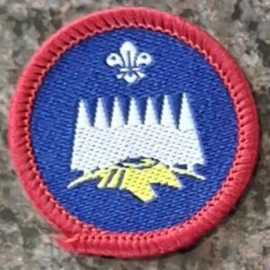 Scouts Forester Activity Badge (old logo)