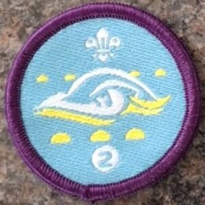 Stage 2 Swimmer (old logo)