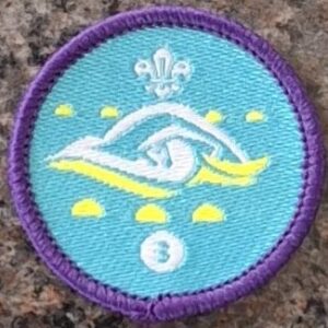 Stage 3 Swimmer (old logo)