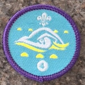 Stage 4 Swimmer (old logo)