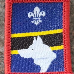 Patrol Badge - Wolves (old stock)